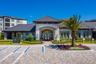 The Oasis at Town Center in Jacksonville, FL - Building Photo - Building Photo