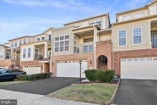 43277 Tumbletree Terrace in Broadlands, VA - Building Photo