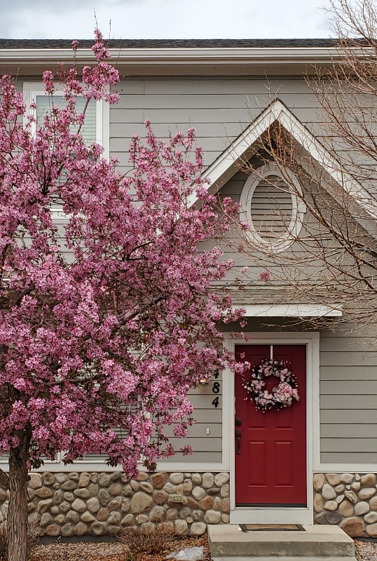 2484 St Paul Dr in Colorado Springs, CO - Foto de edificio - Building Photo