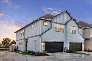 24403 Colonial Willow Dr in Katy, TX - Building Photo