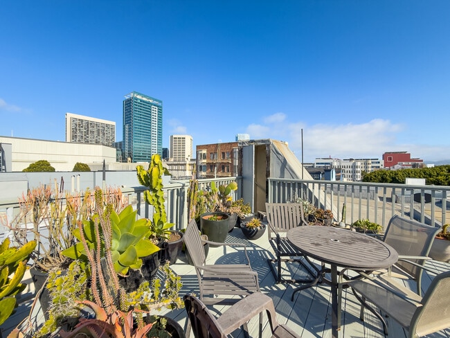 254 Ivy St in San Francisco, CA - Foto de edificio - Building Photo