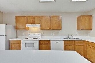 1404 Baffin Cove in Round Rock, TX - Building Photo - Building Photo
