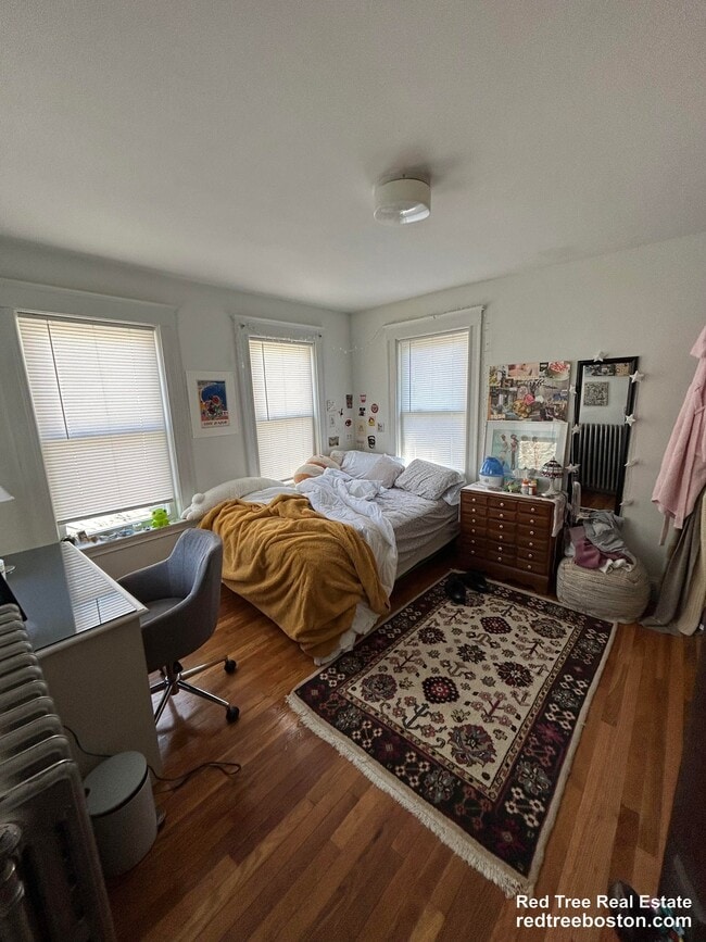 209 Aspinwall Ave, Unit 2 in Brookline, MA - Foto de edificio - Building Photo