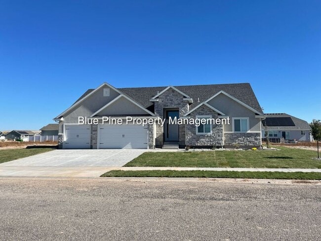 property at 1507 47th St