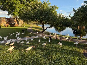 8171 Severn Dr in Boca Raton, FL - Building Photo - Building Photo