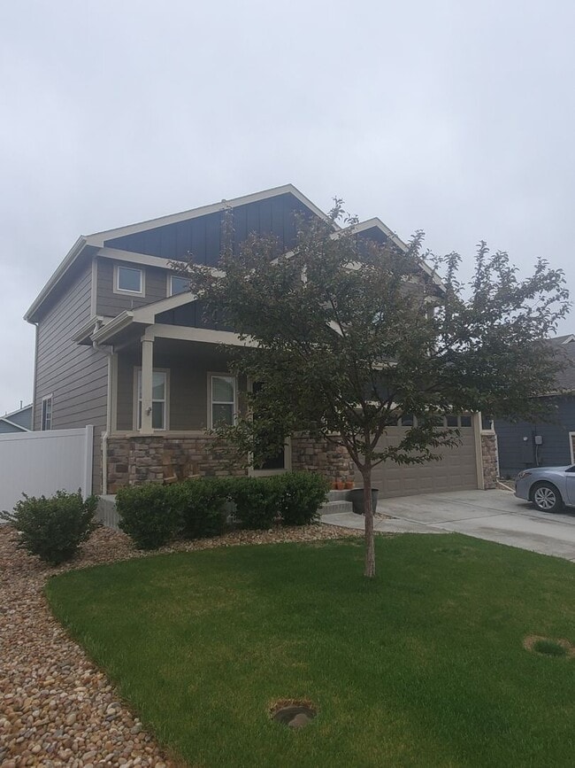 5635 Osbourne Dr in Windsor, CO - Building Photo - Building Photo