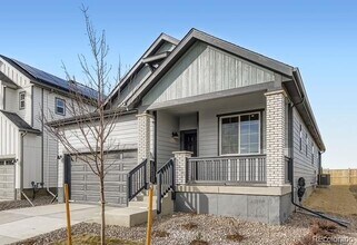 13725 Daffodil Point in Parker, CO - Building Photo - Building Photo