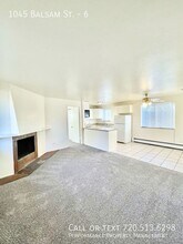 1045 Balsam St in Lakewood, CO - Building Photo - Building Photo