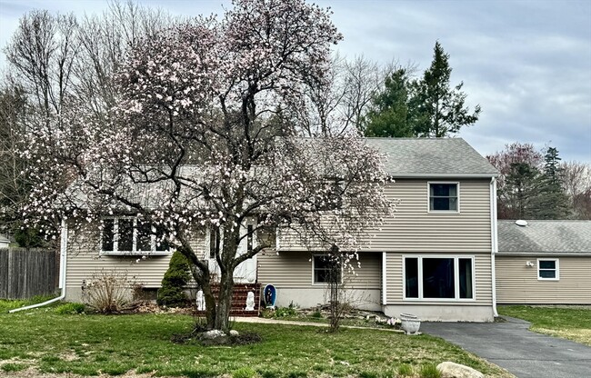 property at 207 Brook St