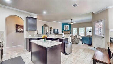 8121 Black Hills Trail in Aubrey, TX - Building Photo - Building Photo