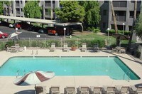 Pool - Solano Pines Apartments in Phoenix, Arizona