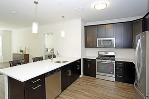 255 Tuscan in Maplewood, NJ - Building Photo