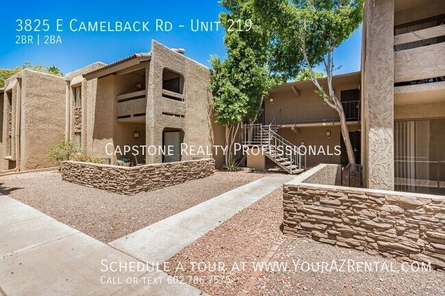 3825 E Camelback Rd in Phoenix, AZ - Building Photo - Building Photo