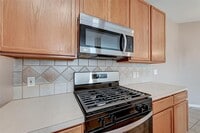 17338 Turquoise Stream Dr photo'