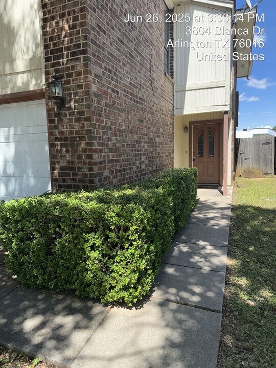 3805 Blanca Dr in Arlington, TX - Building Photo