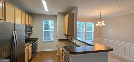 42496 Mayflower Terrace in Ashburn, VA - Building Photo - Building Photo