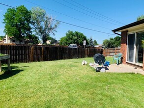 917 Red Fir Pl in Loveland, CO - Building Photo - Building Photo