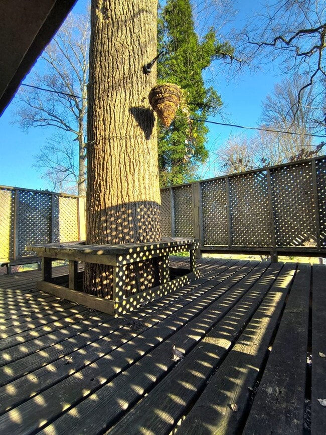 148 W Wadsworth Cir in Oak Ridge, TN - Building Photo - Building Photo