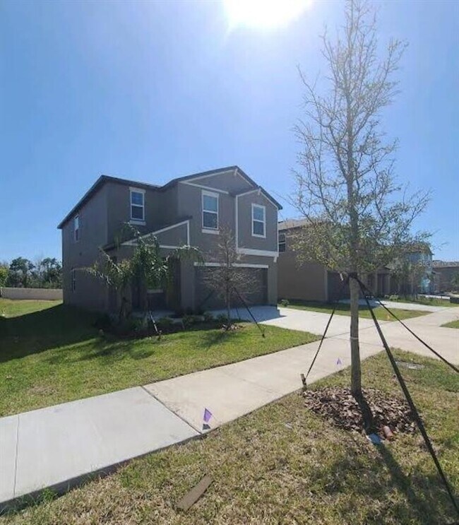 property at 10009 Calypso Orchid Ct