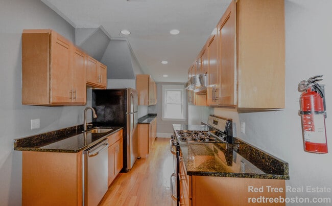 231 Chestnut Hill Ave, Unit 3 in Boston, MA - Building Photo - Building Photo