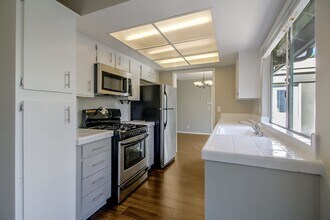 143 Escobar Ave in Los Gatos, CA - Building Photo - Building Photo