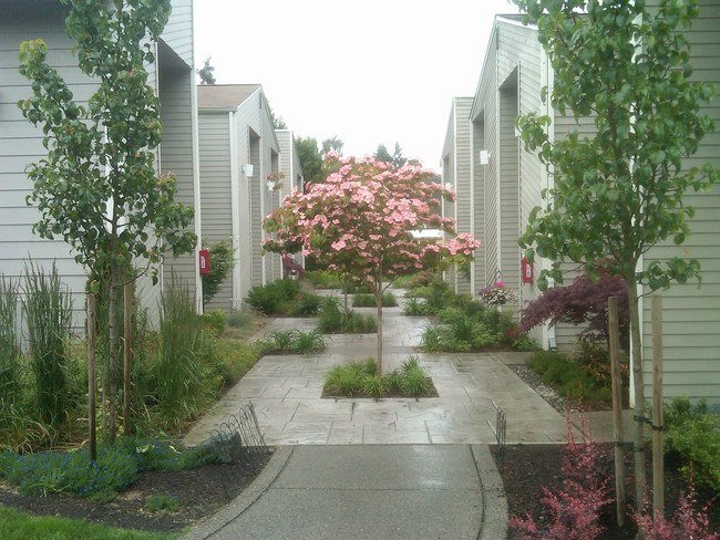 Prestige Townhomes in Puyallup, WA - Building Photo - Building Photo