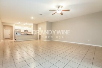 10128 Tabasco Cat Ct in Ruskin, FL - Building Photo - Building Photo