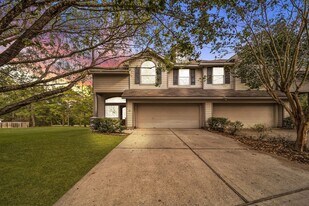 30 Baccara Pl in Conroe, TX - Building Photo