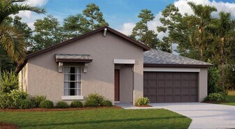 6765 Emerald Spring Loop in New Port Richey, FL - Building Photo