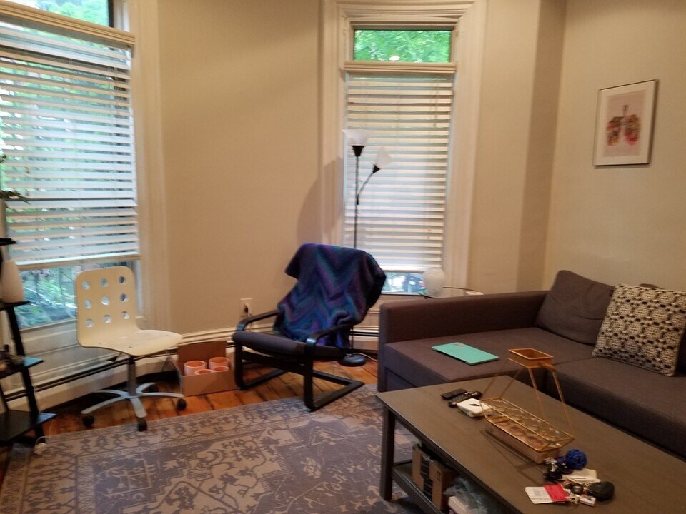 47 E Springfield St, Unit 1 in Boston, MA - Building Photo