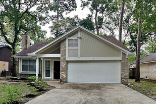 6 W Lance Leaf Rd in Spring, TX - Building Photo