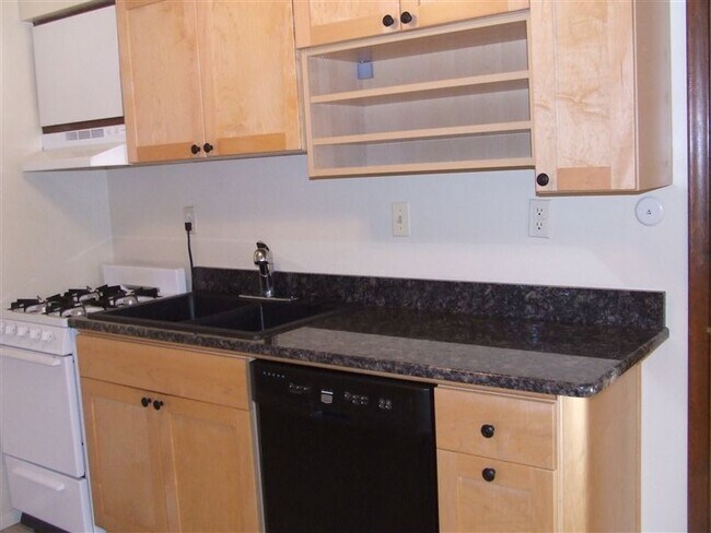 1118 Michigan Ave in Ann Arbor, MI - Building Photo - Building Photo