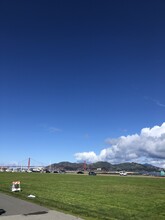 1225 Bay St, Unit 8 in San Francisco, CA - Building Photo - Building Photo