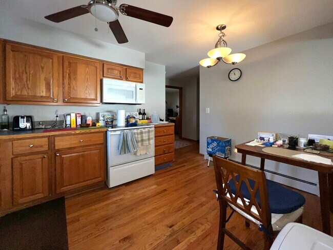 244 S Marion St in Oak Park, IL - Building Photo - Building Photo