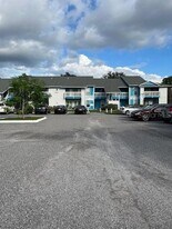 455 Alt 19, Unit 81 in Palm Harbor, FL - Building Photo