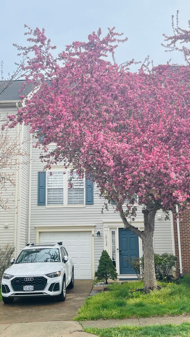 property at 10159 Elgin Way