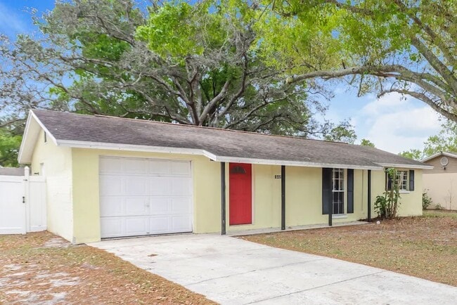6417 Willow Wood Ct in Tampa, FL - Foto de edificio - Building Photo