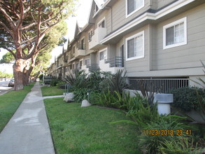 Terrace Trousdale Apartments in Los Angeles, CA - Building Photo - Building Photo