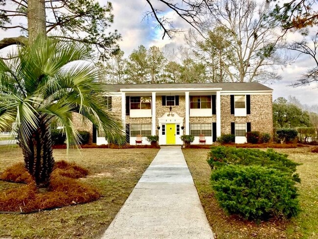 203 Main St, Unit Main Street Property in Hardeeville, SC - Building Photo - Building Photo