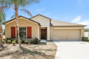 12623 Lemon Pepper Dr in Riverview, FL - Building Photo