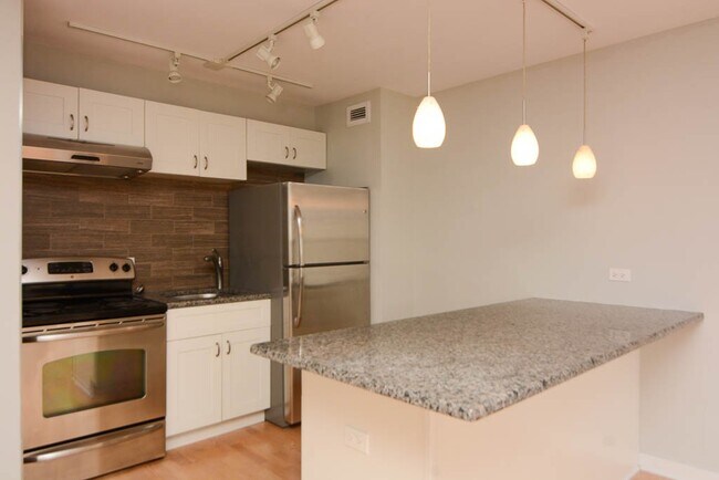 450 W Wellington Ave in Chicago, IL - Building Photo - Building Photo