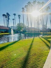 43376 Cook St in Palm Desert, CA - Foto de edificio - Building Photo