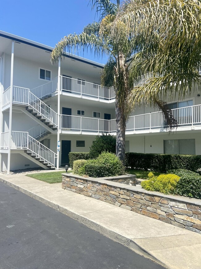 328 Main St in Santa Cruz, CA - Building Photo - Building Photo
