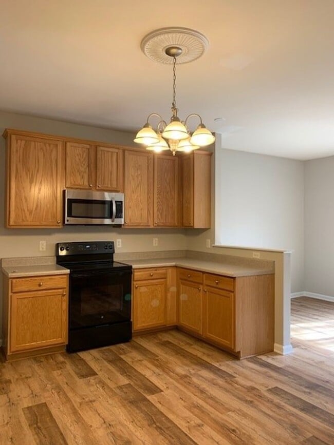 213 Carolina Town Ln in Holly Springs, NC - Building Photo - Building Photo