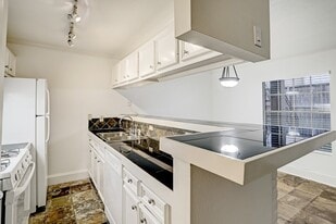 2418 Mimosa Dr in Houston, TX - Building Photo