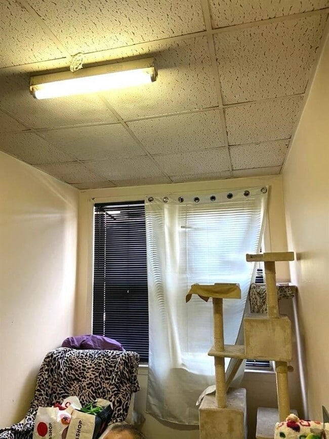 property at 277 Liberty Ave