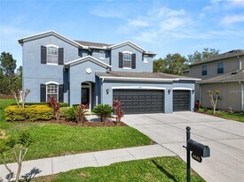 4446 Wildstar Cir in Wesley Chapel, FL - Building Photo