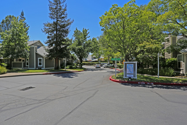 Lakeside Townhomes in Folsom, CA - Foto de edificio - Building Photo