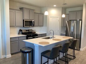 156 Hawksbill Ln in Rhome, TX - Building Photo