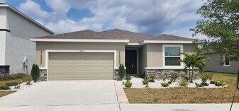 16966 Oval Rum Dr in Wimauma, FL - Building Photo